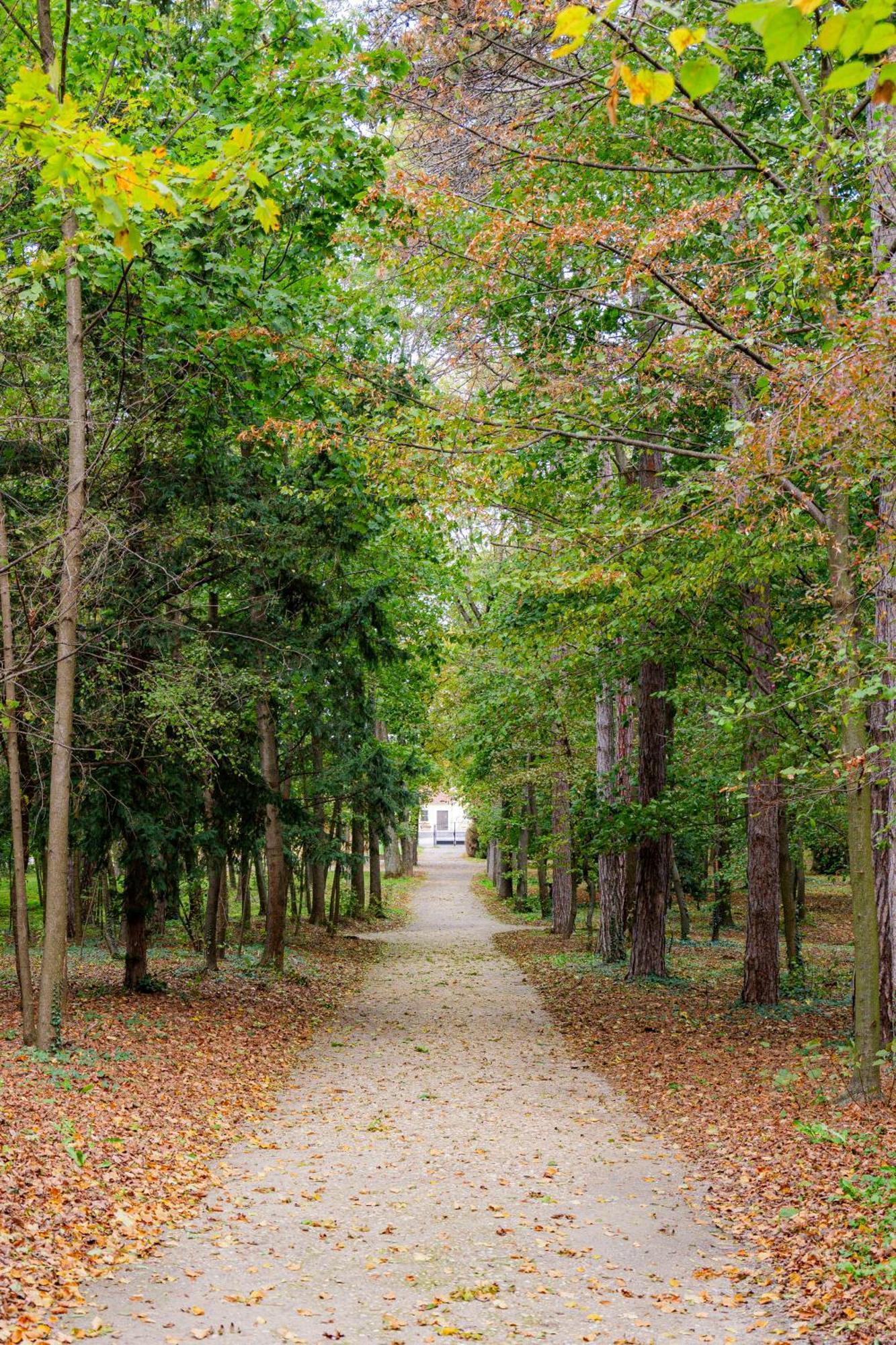 Villa Rose Close To Vienna & Airport Maria Ellend 外观 照片
