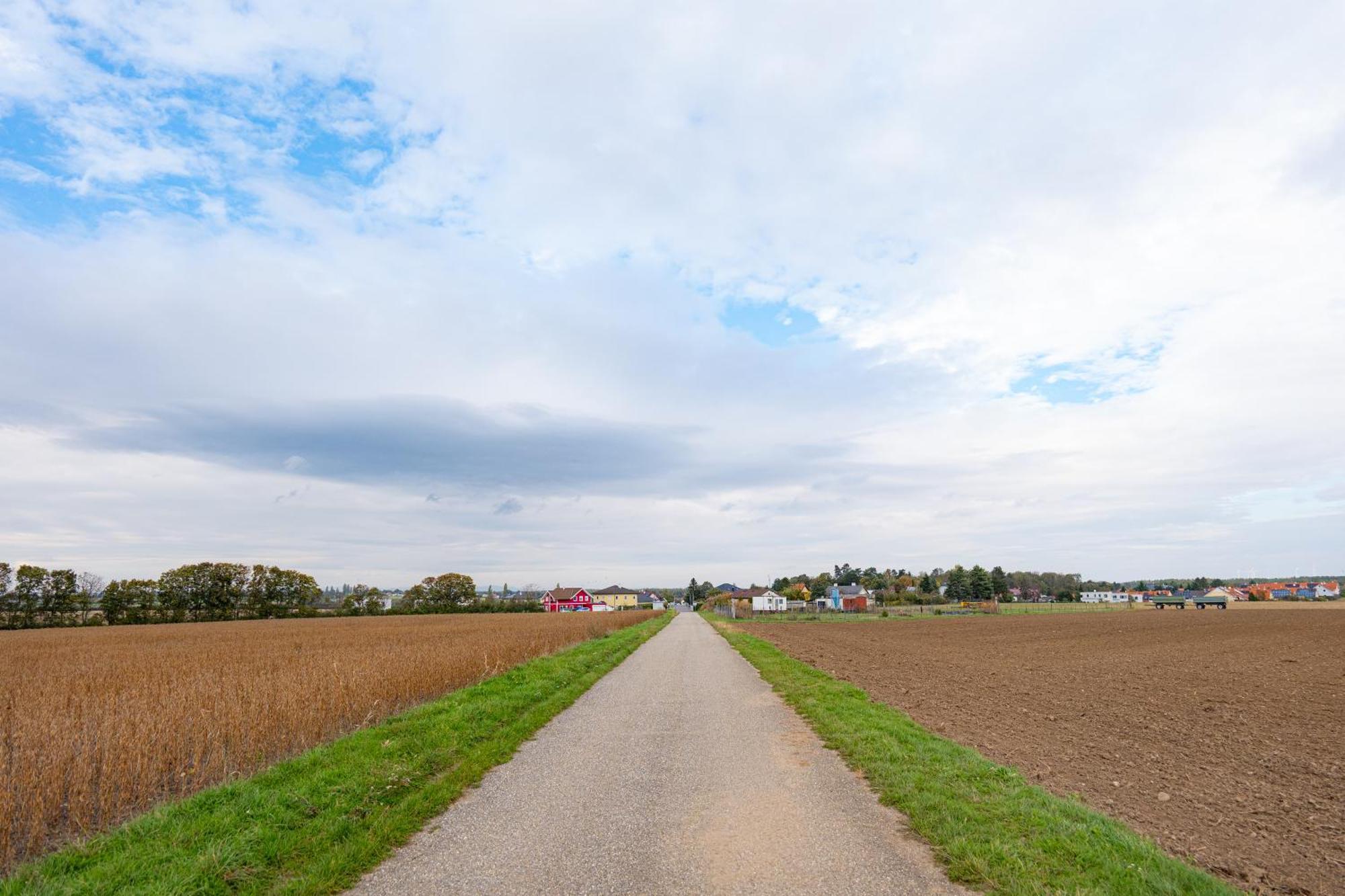 Villa Rose Close To Vienna & Airport Maria Ellend 外观 照片